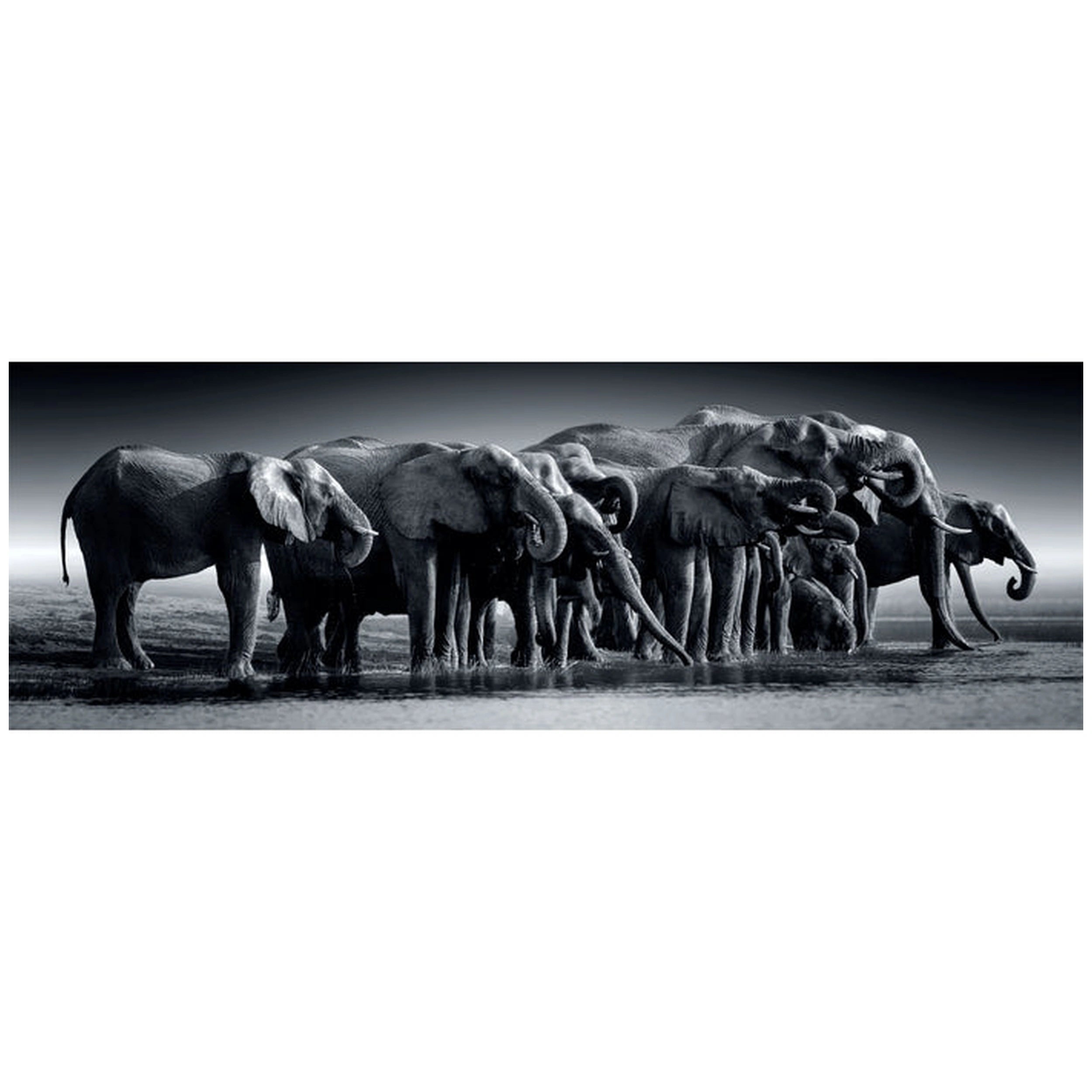 Clementoni High Quality Collection - Herd Of Giants 1000 Pcs Puzzle Panorama