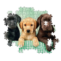 Clementoni High Quality Collection - Three Labs Puppies 1000 Pcs Puzzle