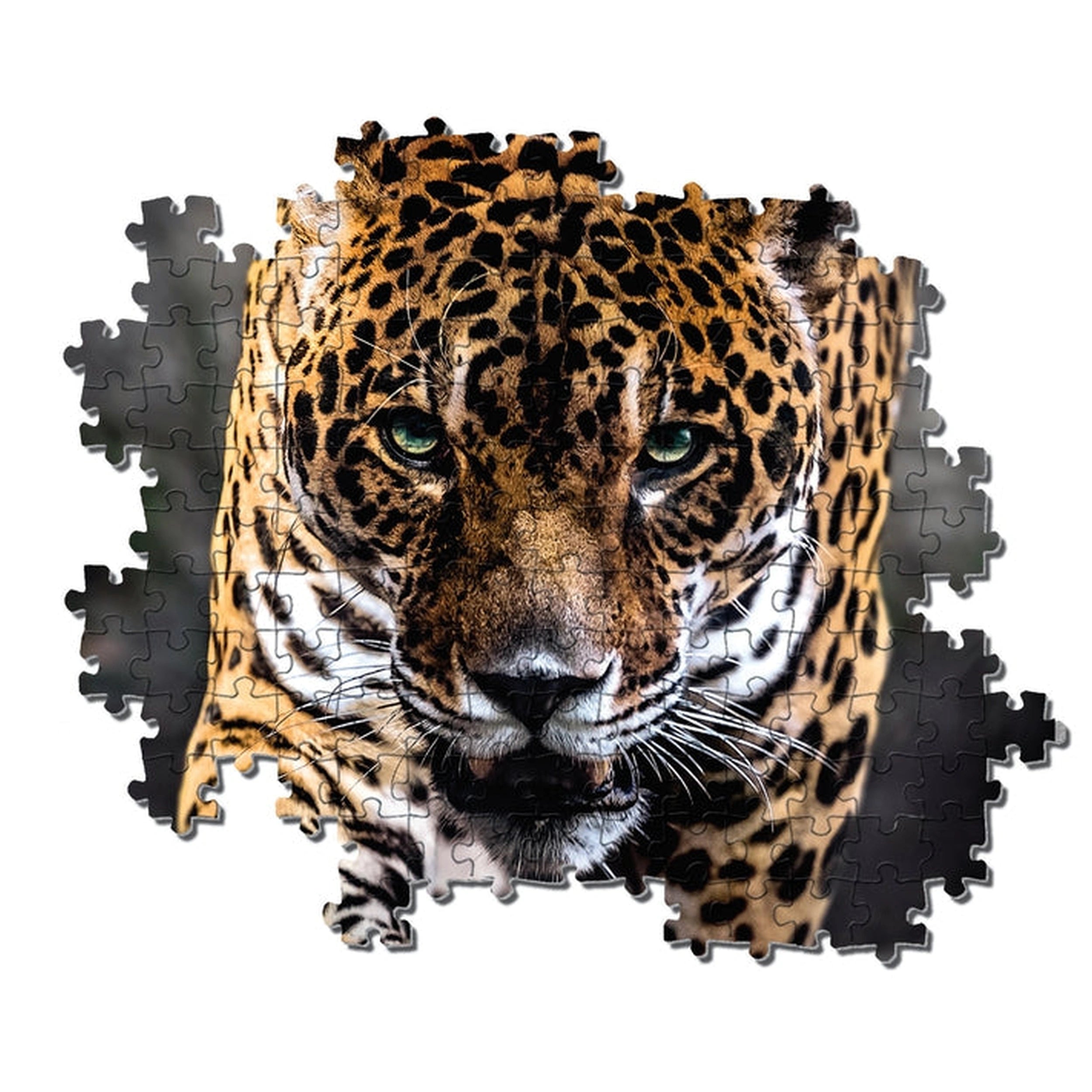Clementoni High Quality Collection - Walk Of The Jaguar 1000 Pcs Puzzle
