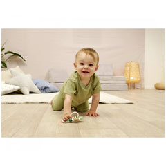 Eichhorn - Baby HiPP Grapper met Ring - Baby Activiteit Speelgoed - Baby Activiteit Speelgoed