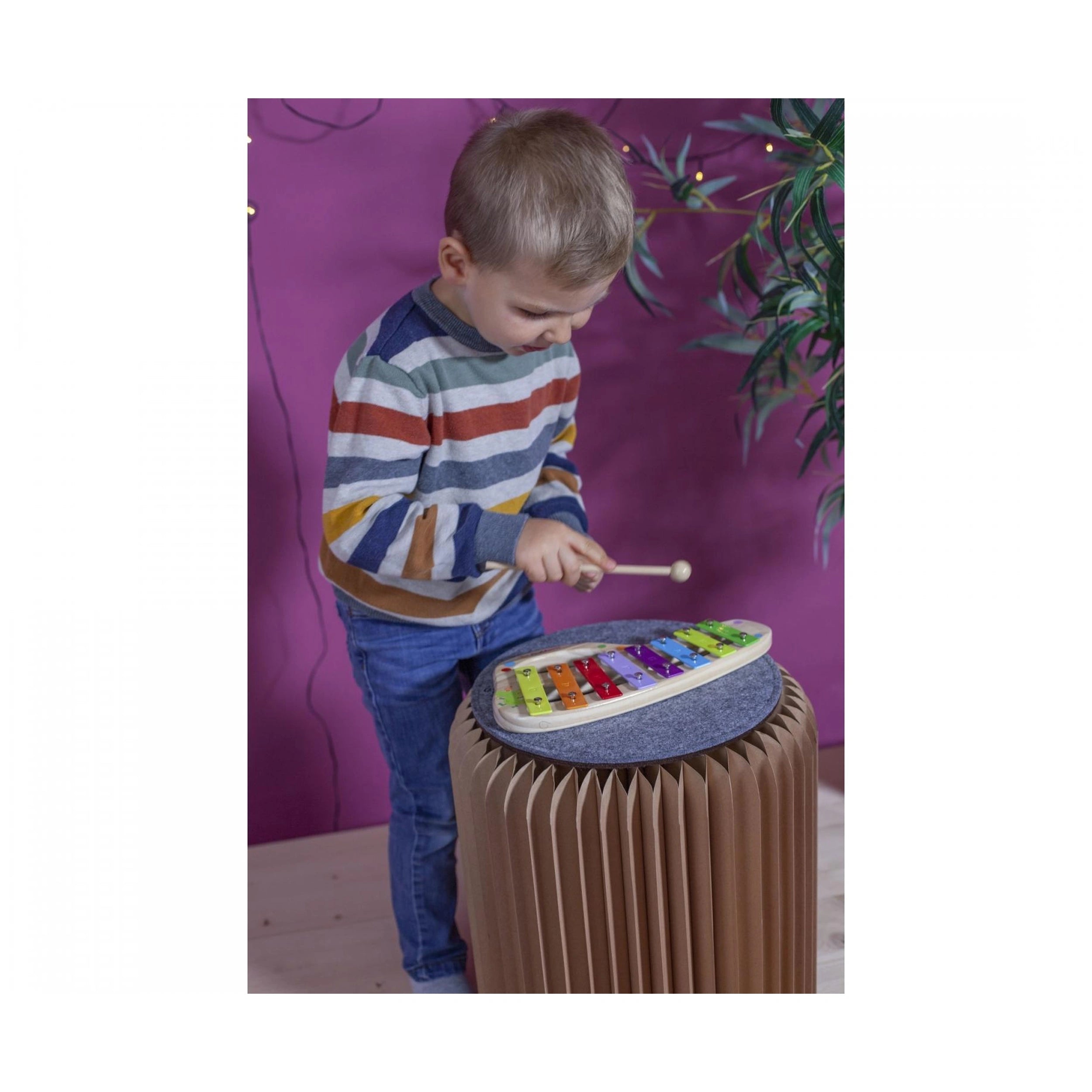 Eichhorn - Xylophone - Musical Instruments - Musical Instruments