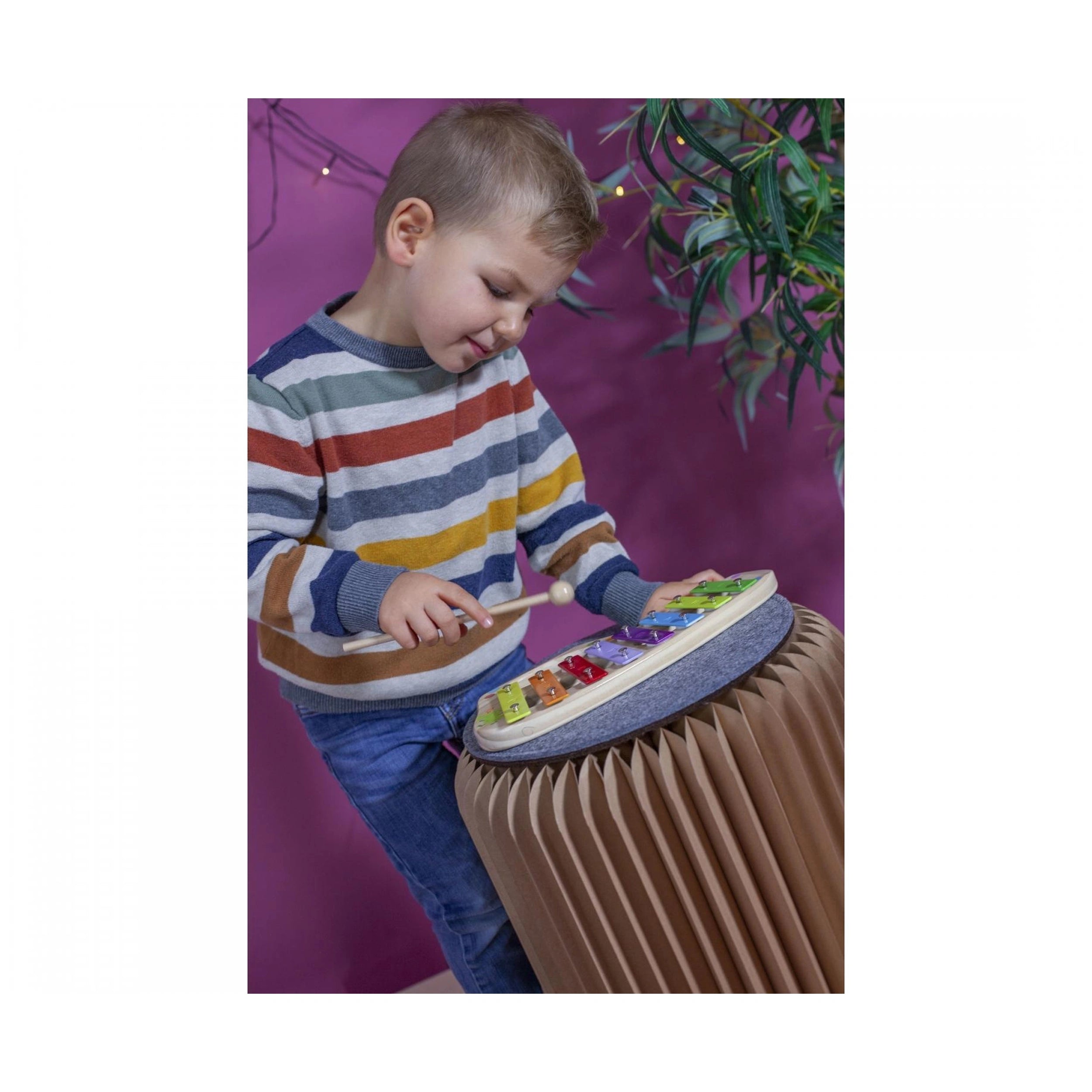 Eichhorn - Xylophone - Musical Instruments - Musical Instruments