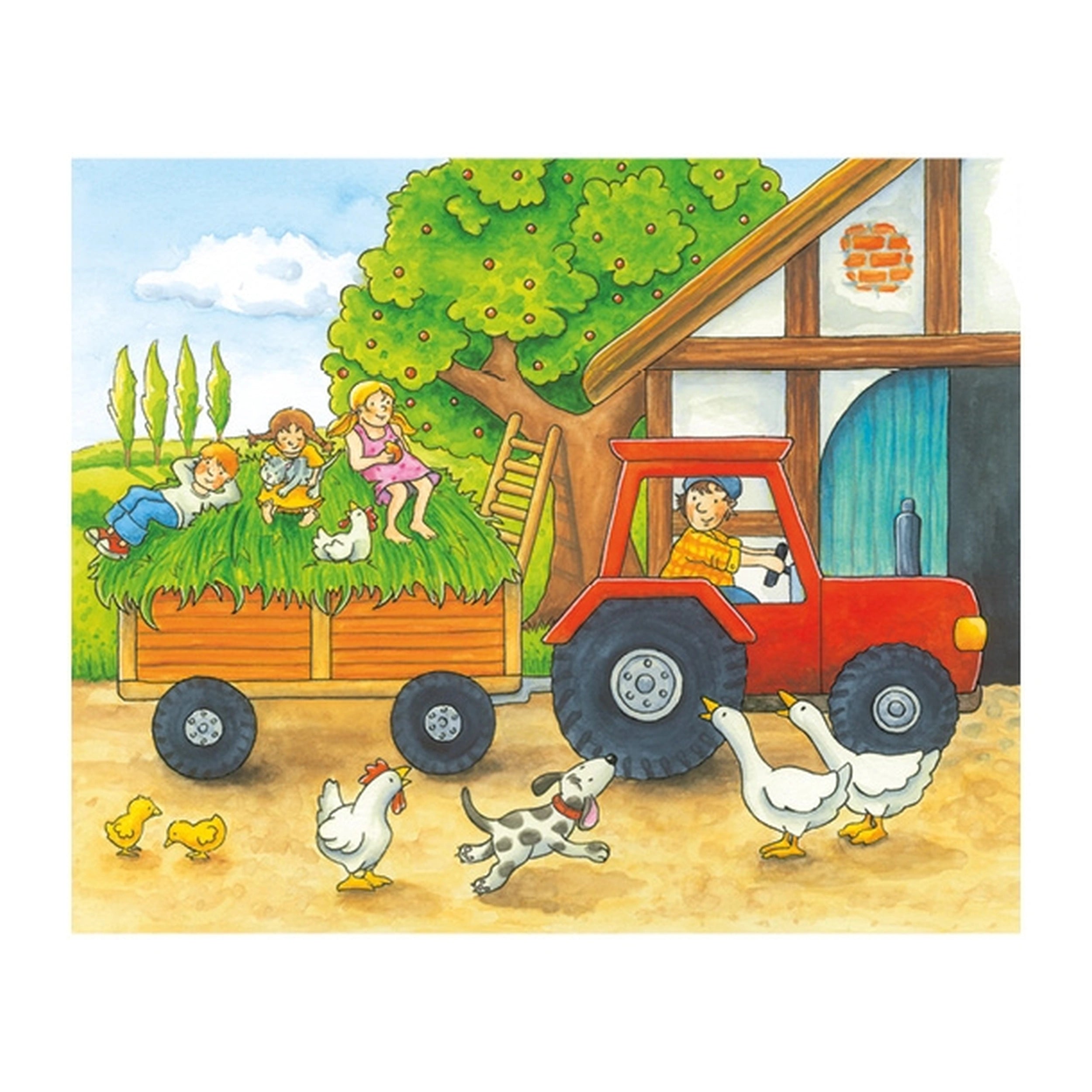 Gollness - Cube Puzzel Seizoenen Op De Boerderij - Puzzels
