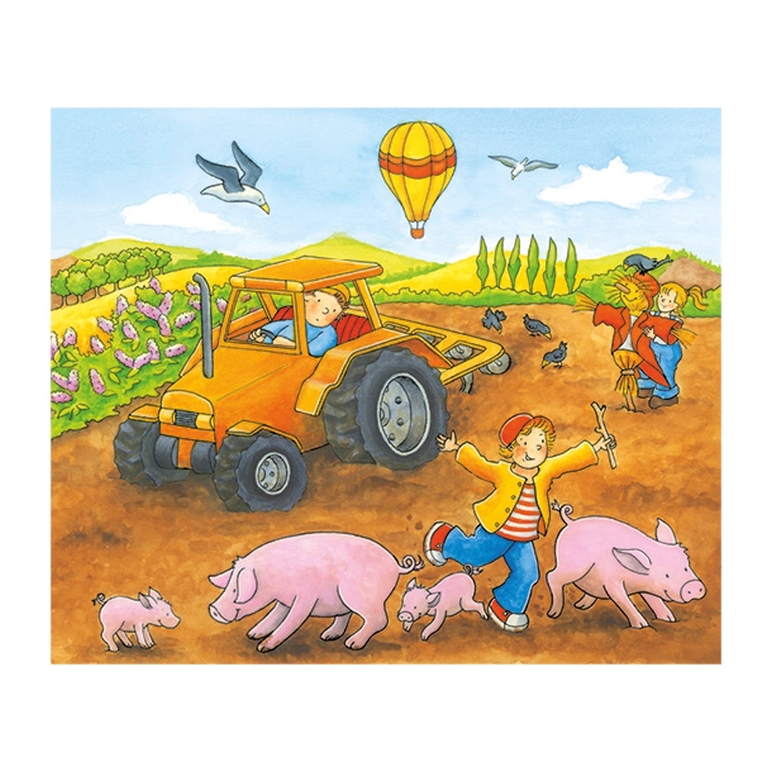 Gollness - Cube Puzzel Seizoenen Op De Boerderij - Puzzels