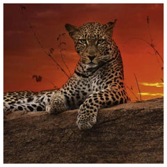 Heye - Puzzle Red Dawn - Puzzels - +14 - HEY29608