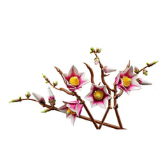 LEGO - Bouwset - Botanische Magnolia Takken - 18+ Jaar - Bloemdecoratie