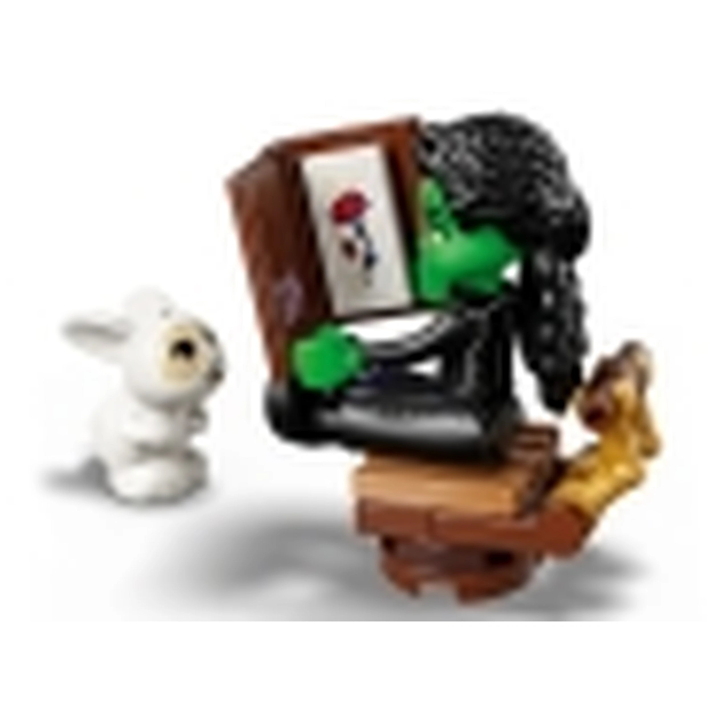 LEGO - Elphaba's Retreat - Construction Set Toys
