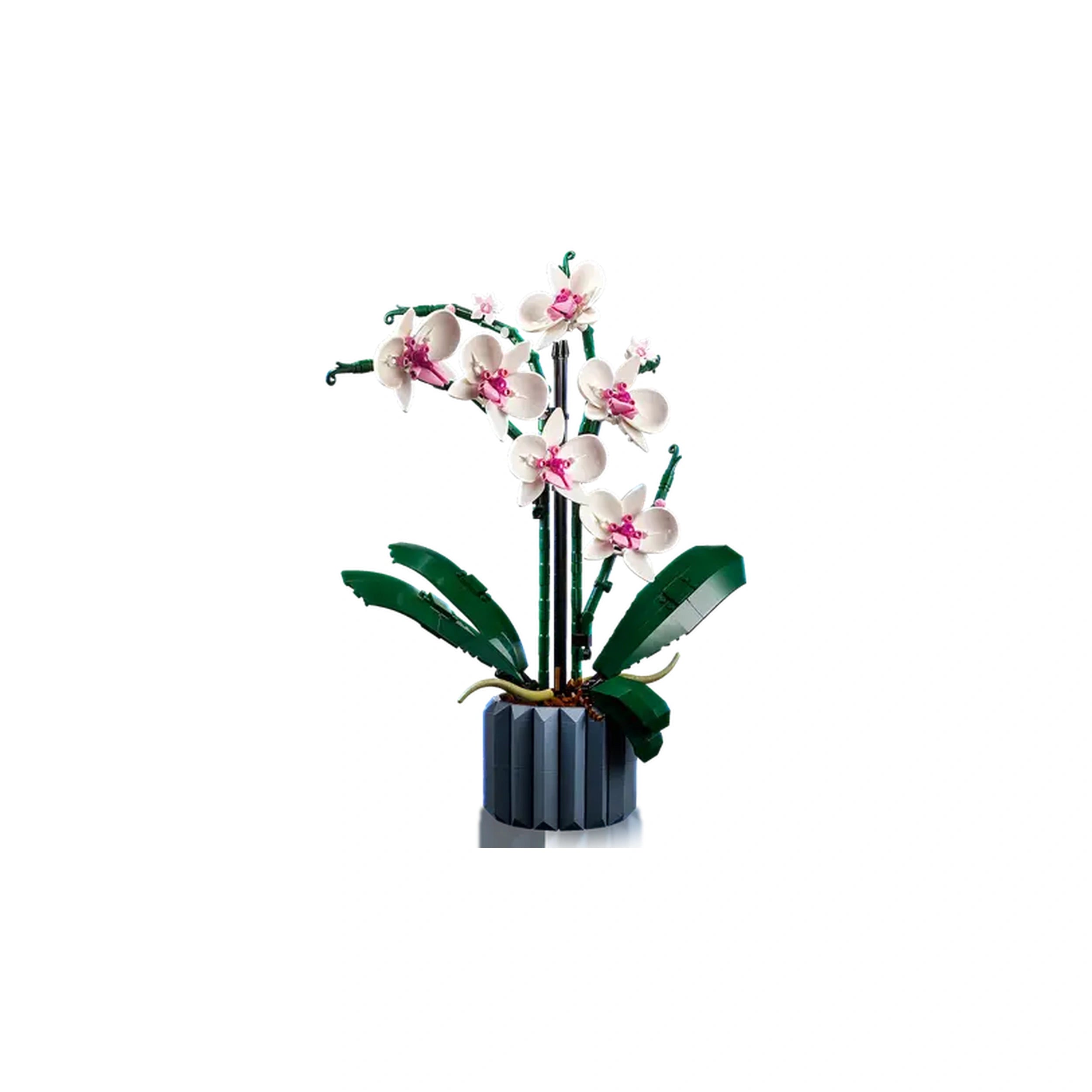 Lego - Icons - Orchidee - Bouwset Speelgoed