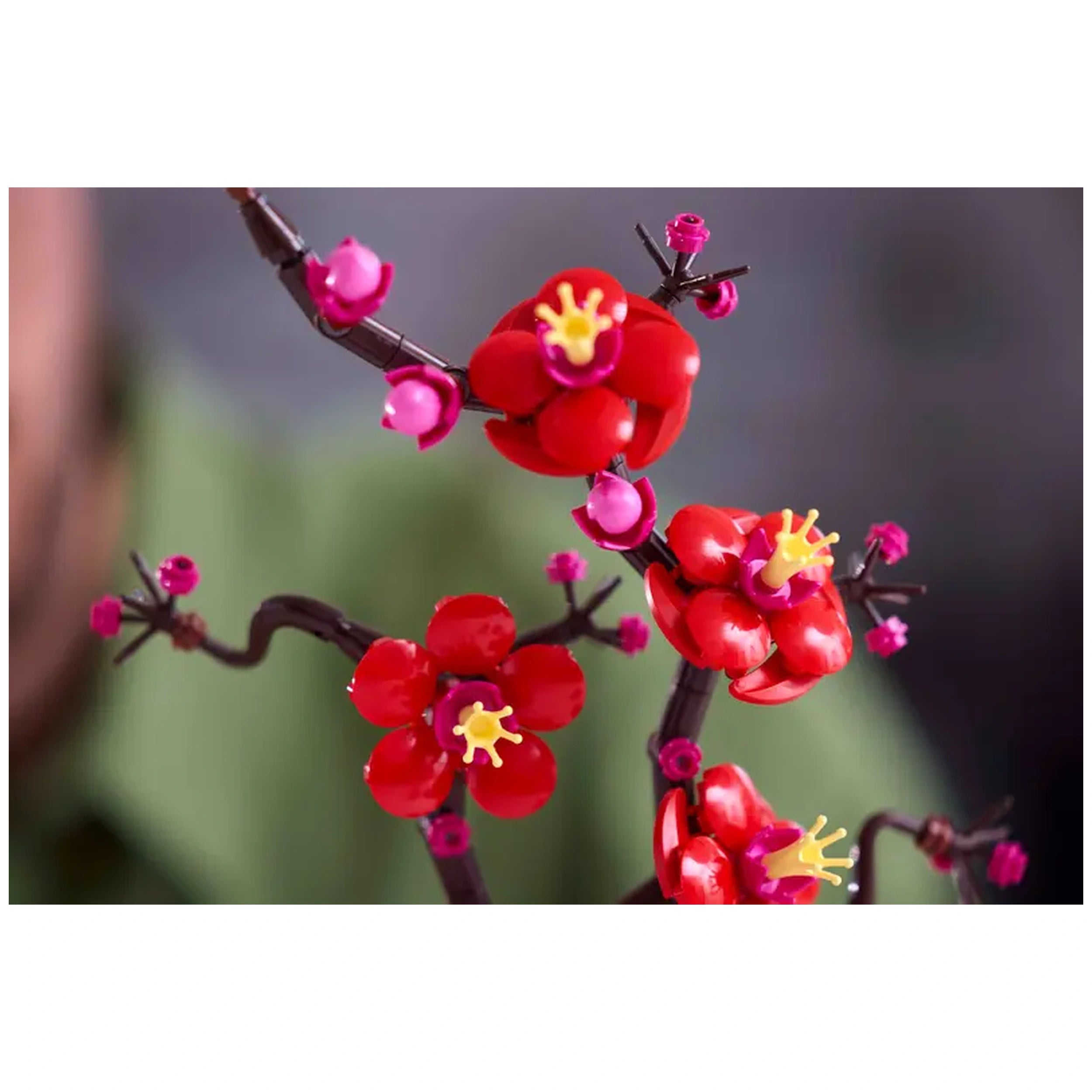 Lego - Icons - Prunus - Bouwset Speelgoed