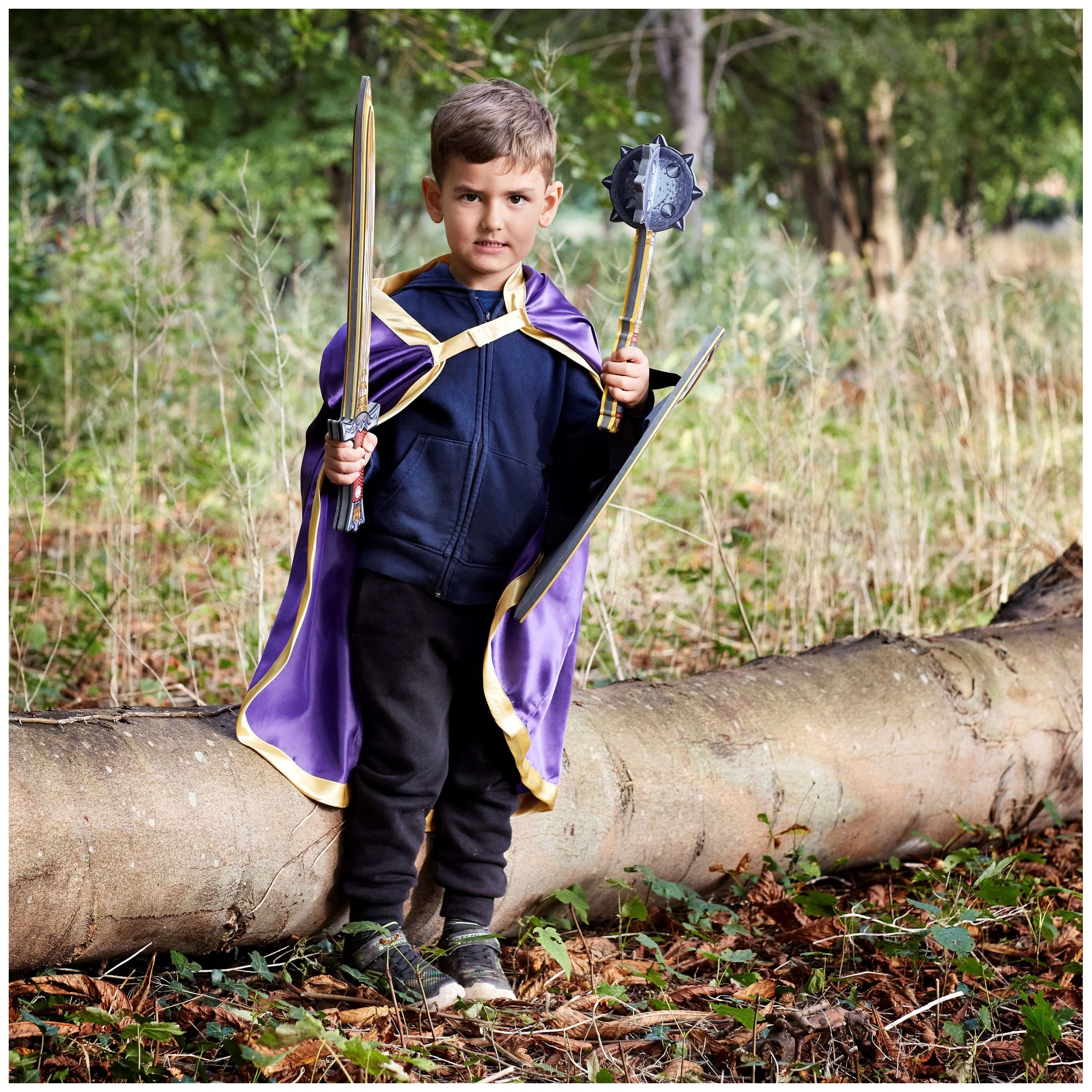 Liontouch - Eagle Sword - The Golden Eagle Knight Line - Pretend Professions & Role Playing