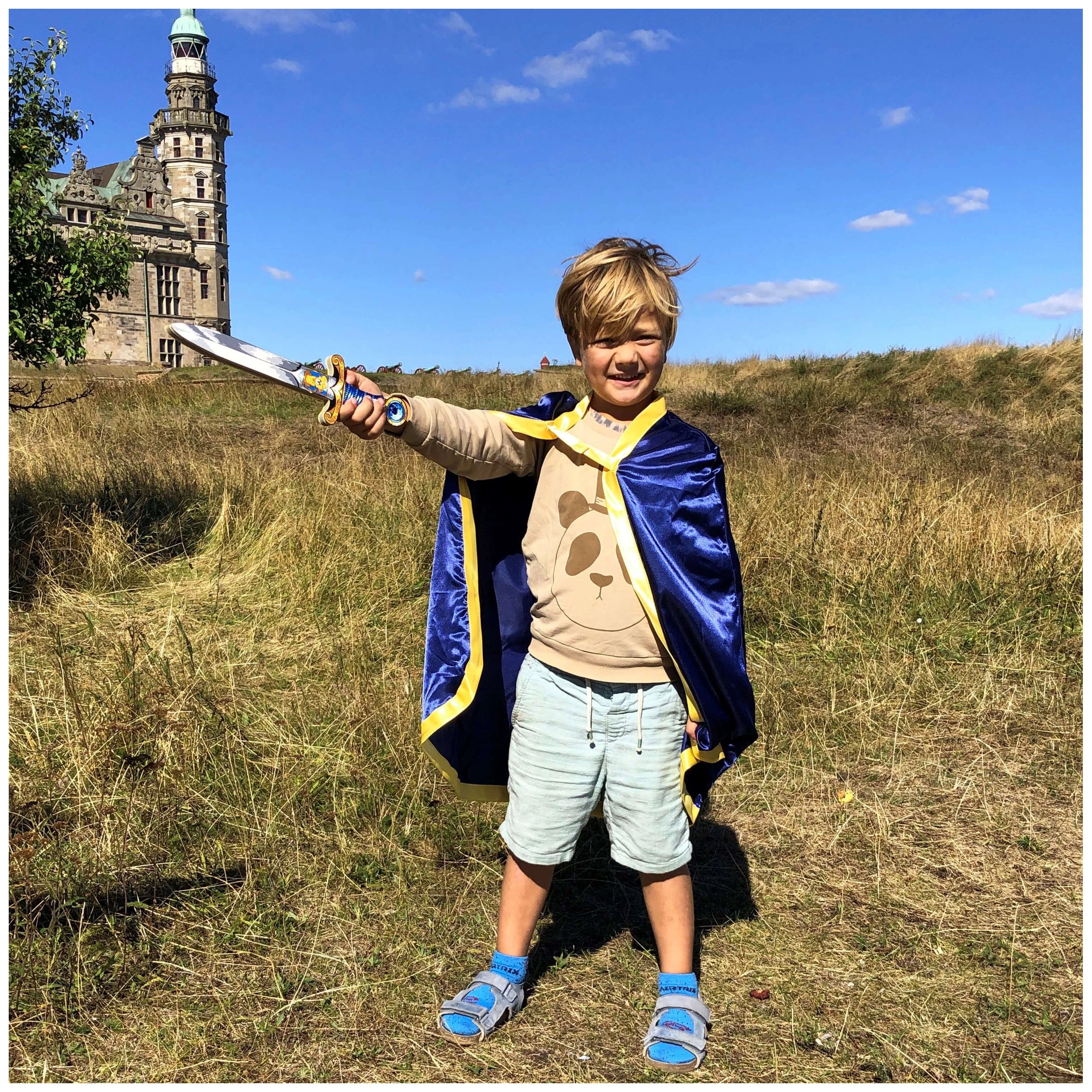 Liontouch - Mini Lion Sword · Blue - The Mini Lion Line - Pretend Professions & Role Playing