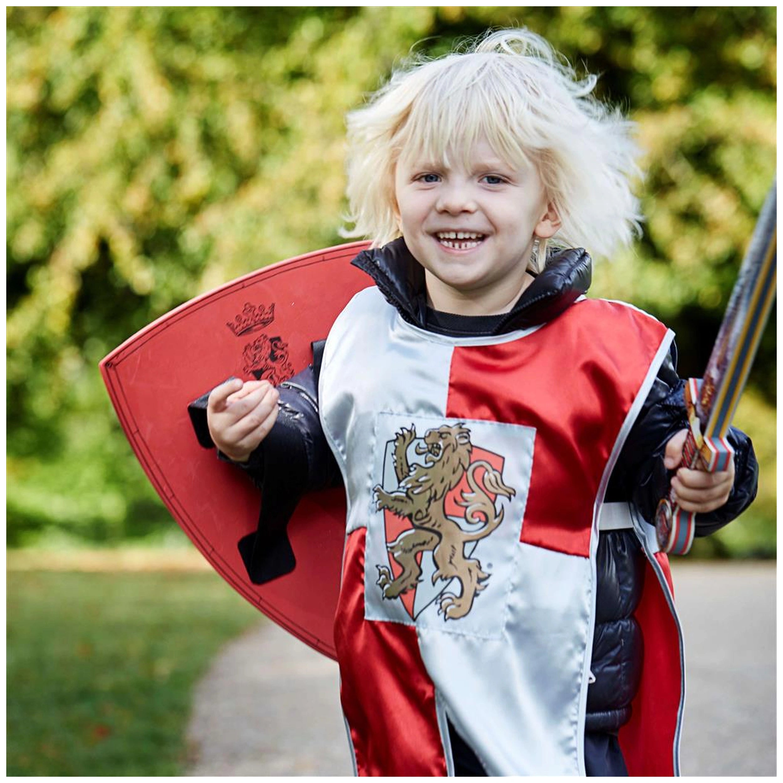 Liontouch - Prince Lionheart Sword - The Prince Lionheart Line - Pretend Professions & Role Playing