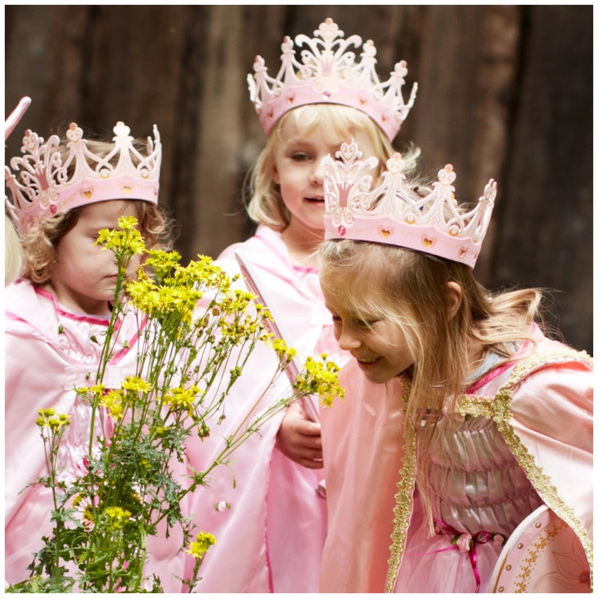 Liontouch - Queen Crown - The Queen Rosa Line - Pretend Professions & Role Playing