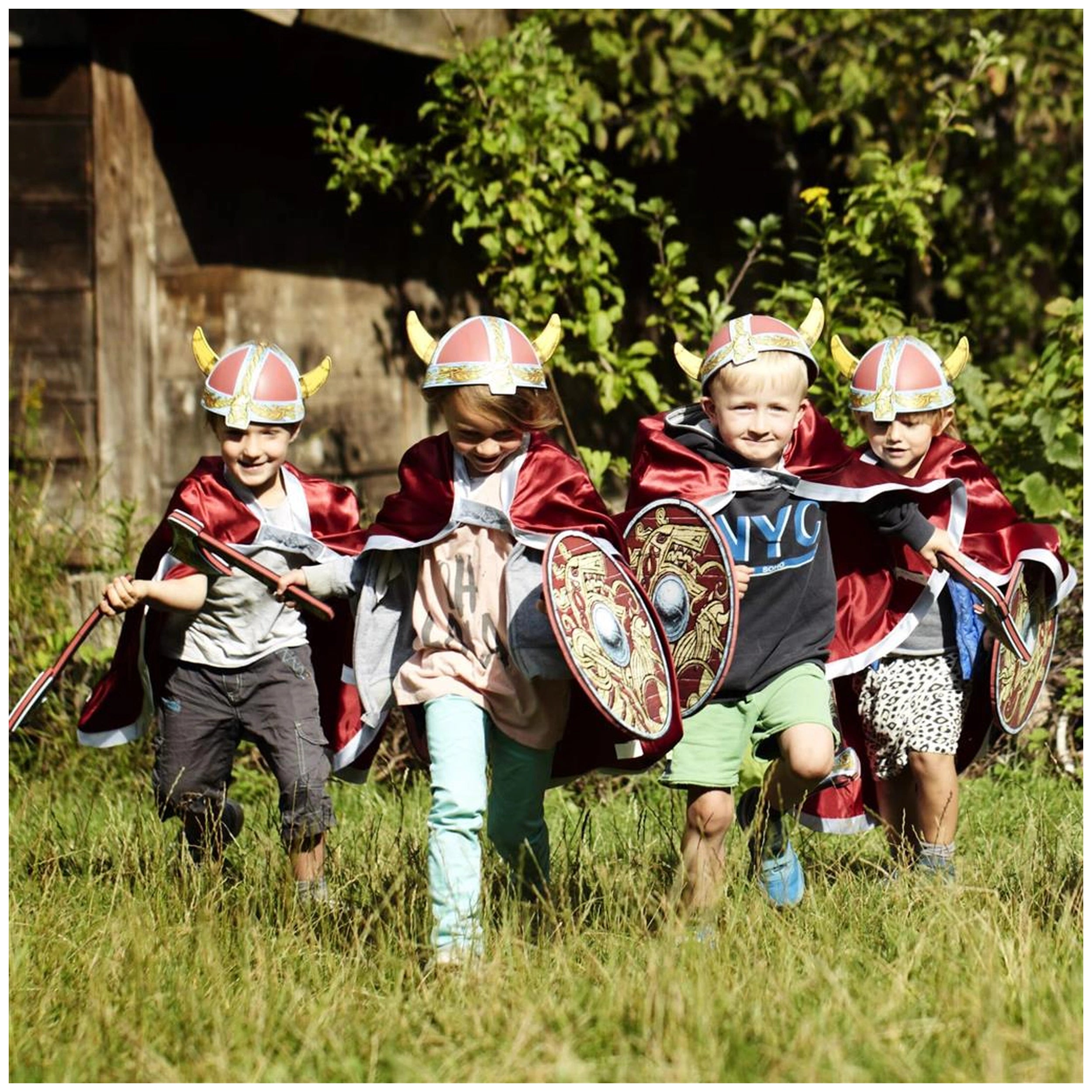 Liontouch - Viking Schild - Viking Hoofdman Harald - Doen alsof Beroepen & Rollenspel