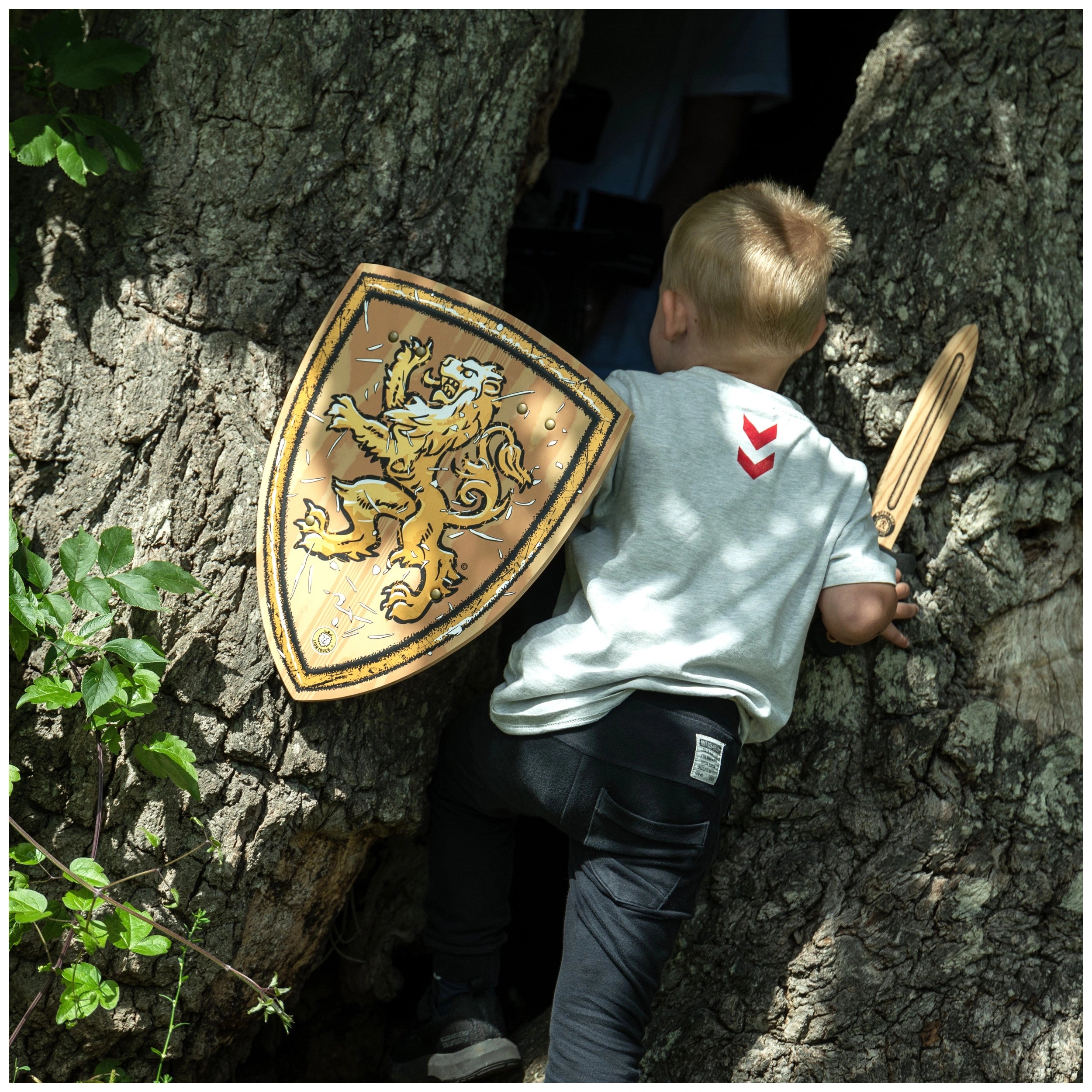 Liontouch - WoodyLion Shield - The WoodyLion Line - Pretend Professions & Role Playing
