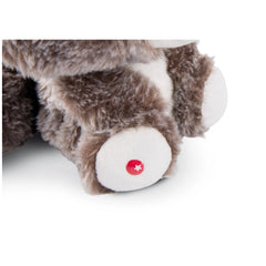 NICI - Glubschis-Cuddly-Toy-Racoon-Clooney-25-Cm - Stuffed-Animals