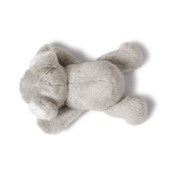 NICI - Magnici-Koala-12cm-Stuffed-Animals