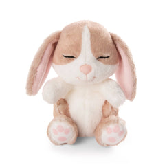 NICI - Sleeping-Pets-Bunny-Cappuccino-Soft-Toy-Stuffed-Animals