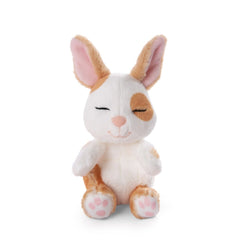 NICI - Sleeping-Pets-Bunny-Caramel-Dotted-Stuffed-Animals