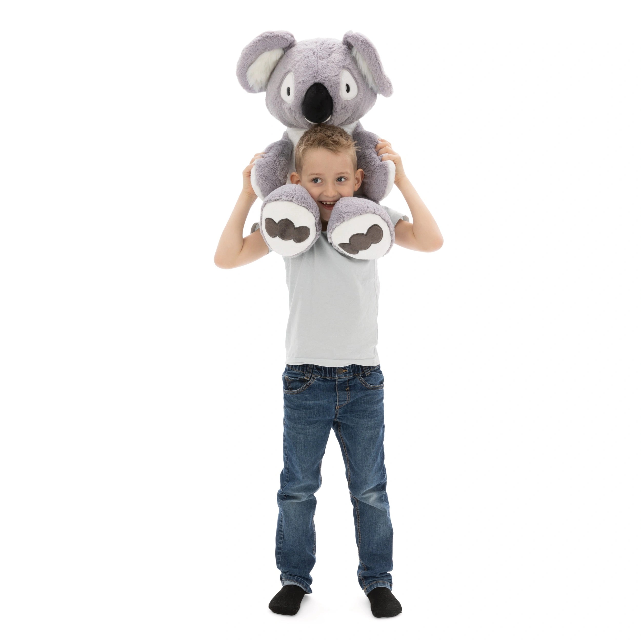 NICI - Wild Friends Koala Barry - Stuffed Animals