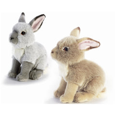 Plush & Co - Cliff Little Hare Plush 23 cm - Stuffed Animals - Random Color
