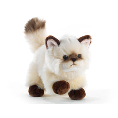 Plush & Co - Thaytoo Little Cat Plush 21 cm - Stuffed Animals