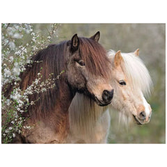 Ravensburger - Mooie Paarden - 100 Stukken - Puzzels
