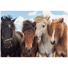 Ravensburger - Paardenliefde - 2x24 Stukken - Puzzels