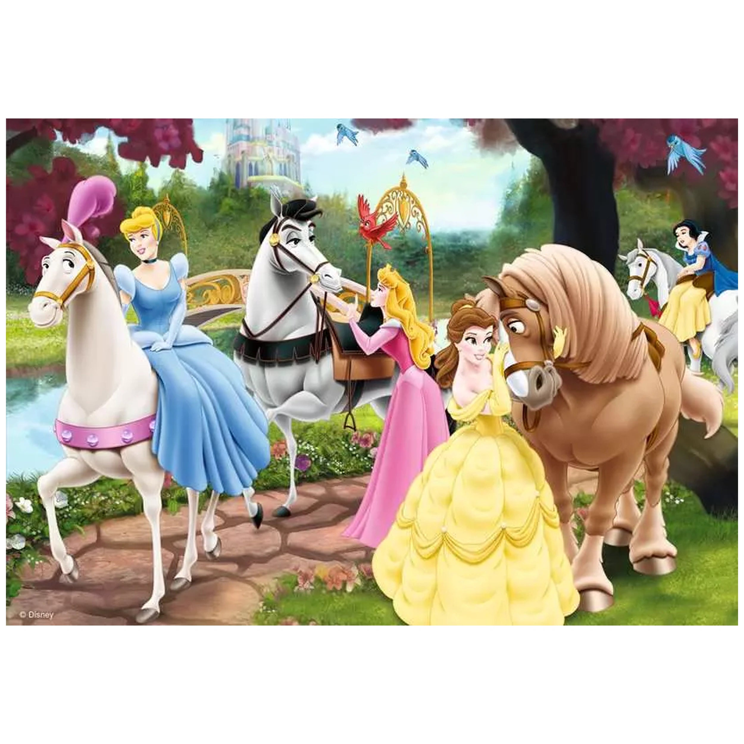 Ravensburger - Magical Princesses - 2x24 Pieces - Puzzles