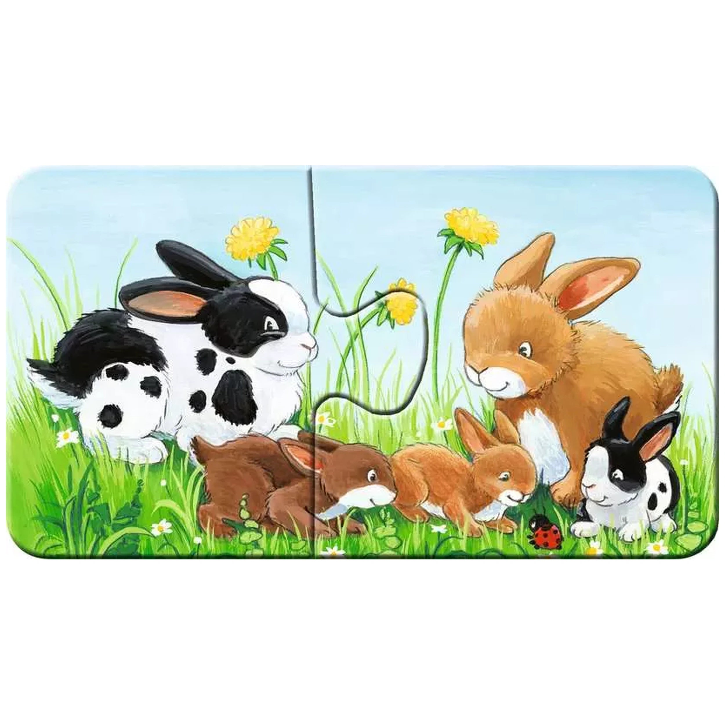 Ravensburger - Mijn Eerste Puzzels - Dierfamilies Op De Boerderij - 2X9 Stukken - Puzzels