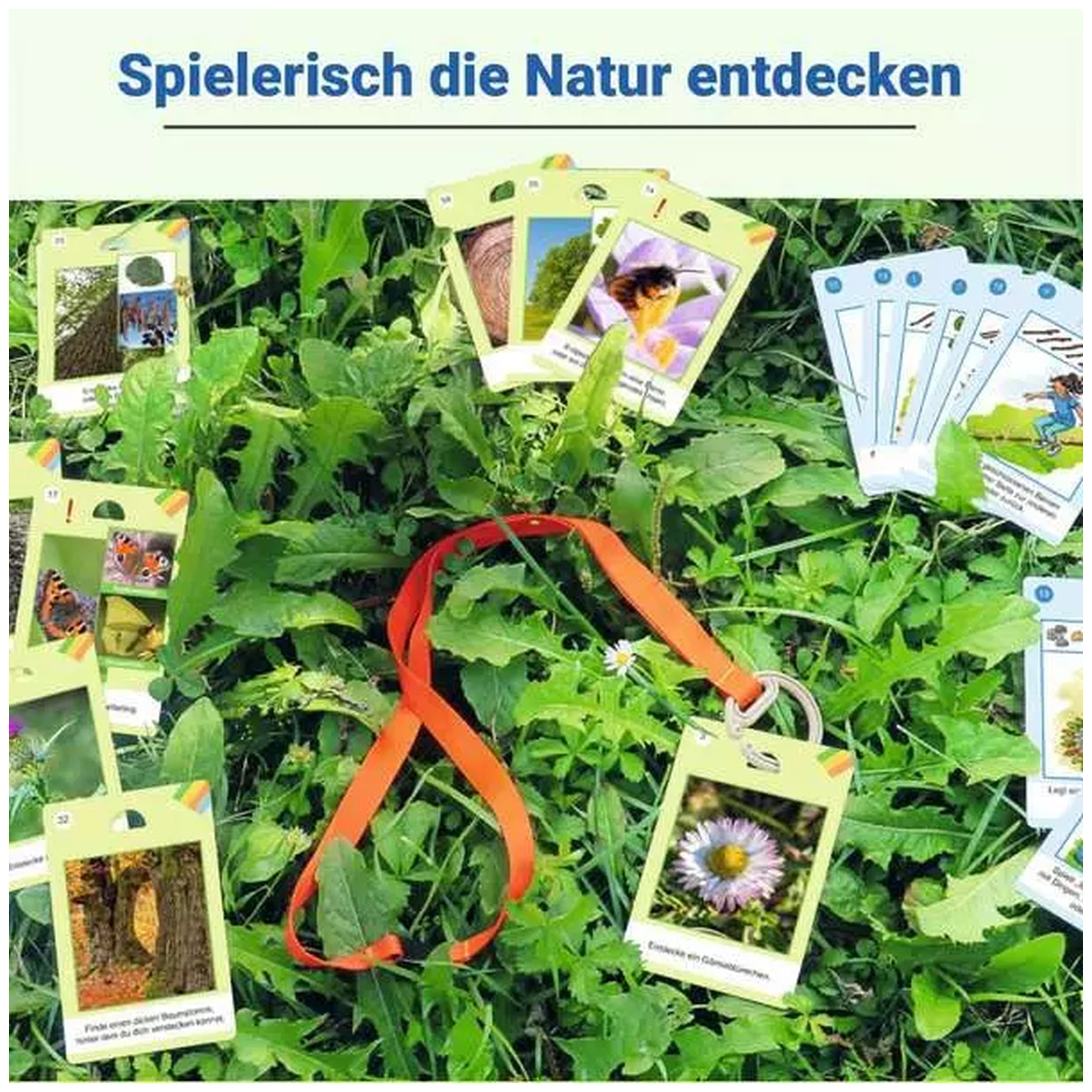 Ravensburger - Natur-Entdecker - Board Game - German Edition