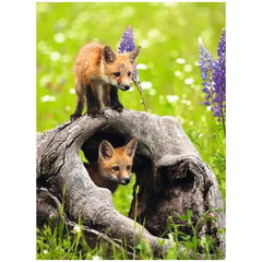 Ravensburger - Ondeugende Vossen - 300 Stukken - Puzzels