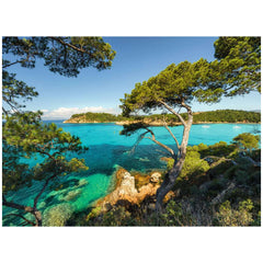 Ravensburger - Puzzel 500 Stukken Kustzicht - Puzzels