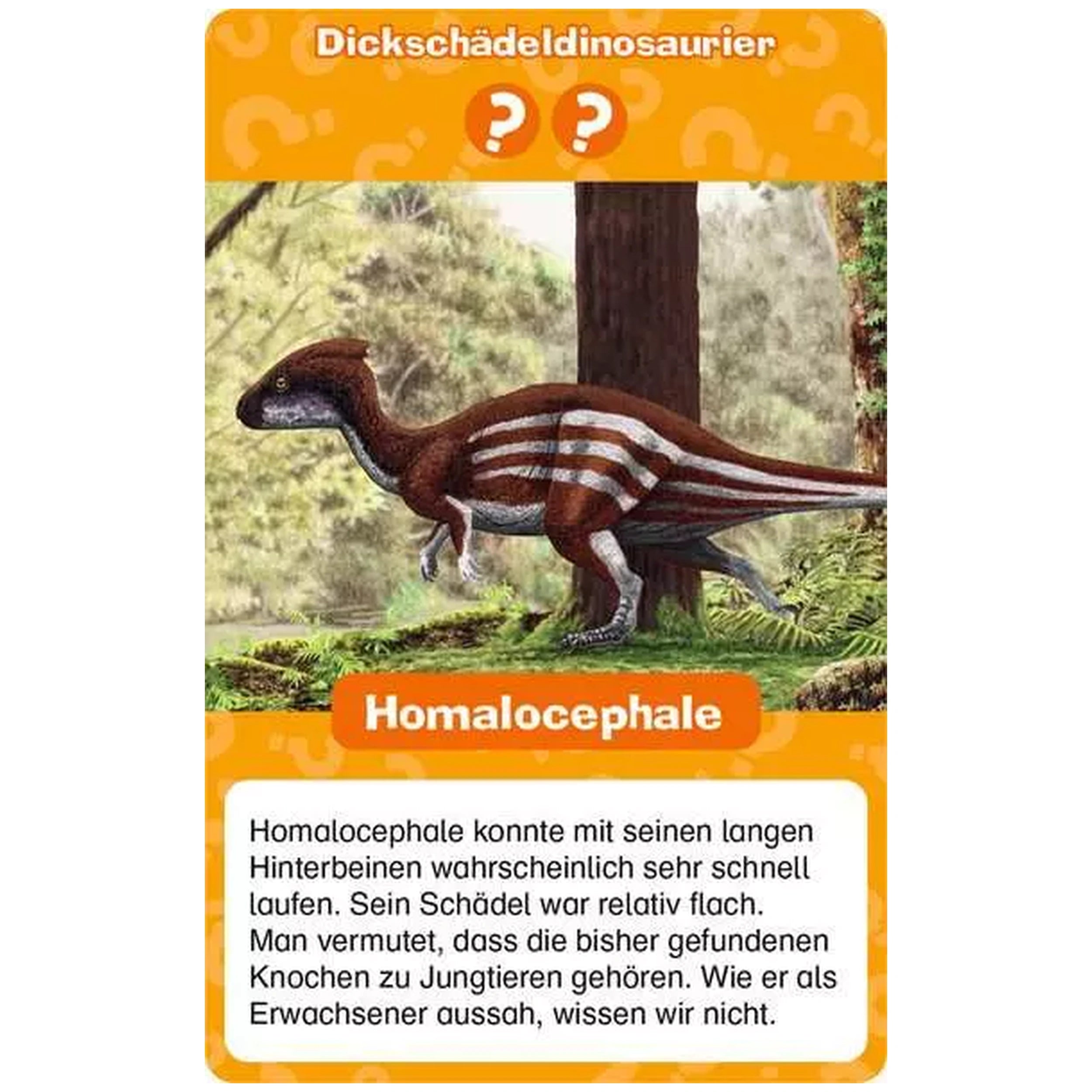 Ravensburger - Wieso? Weshalb? Warum? Dinosaurier Quartett - Bordspel - Duitse Editie