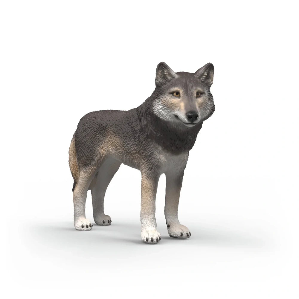 SCHLEICH - Lupo americano - Actie & Speel Figuren - 3+ - 84414991