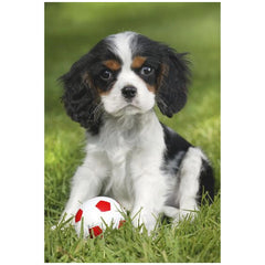 SCHMIDT SPIELE - Mijn Schattigste Baby Dieren 48 Stuks Kinderpuzzels - Puzzels