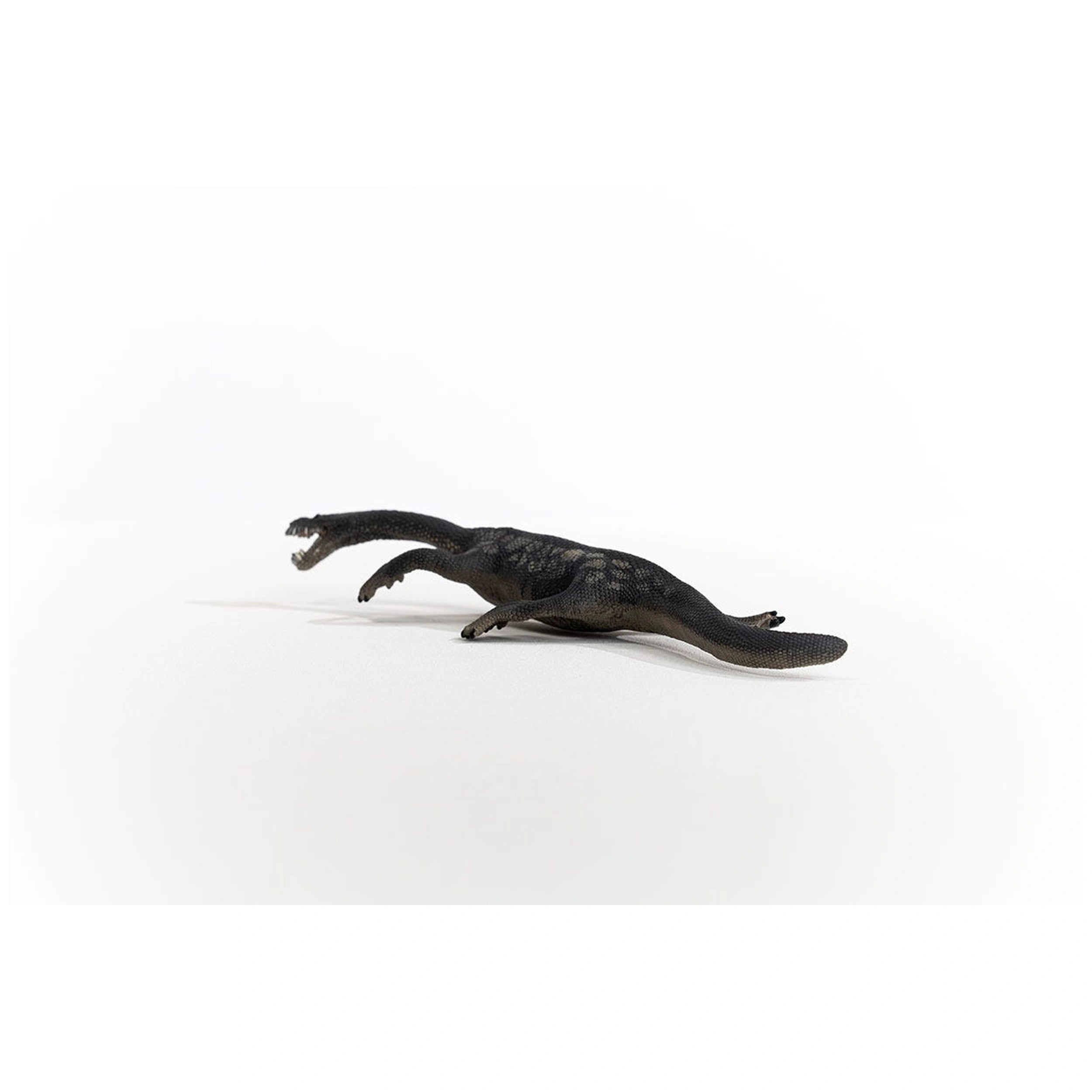 Schleich - Dinosaurs - Notosaur - Action & Toy Figures - 15031