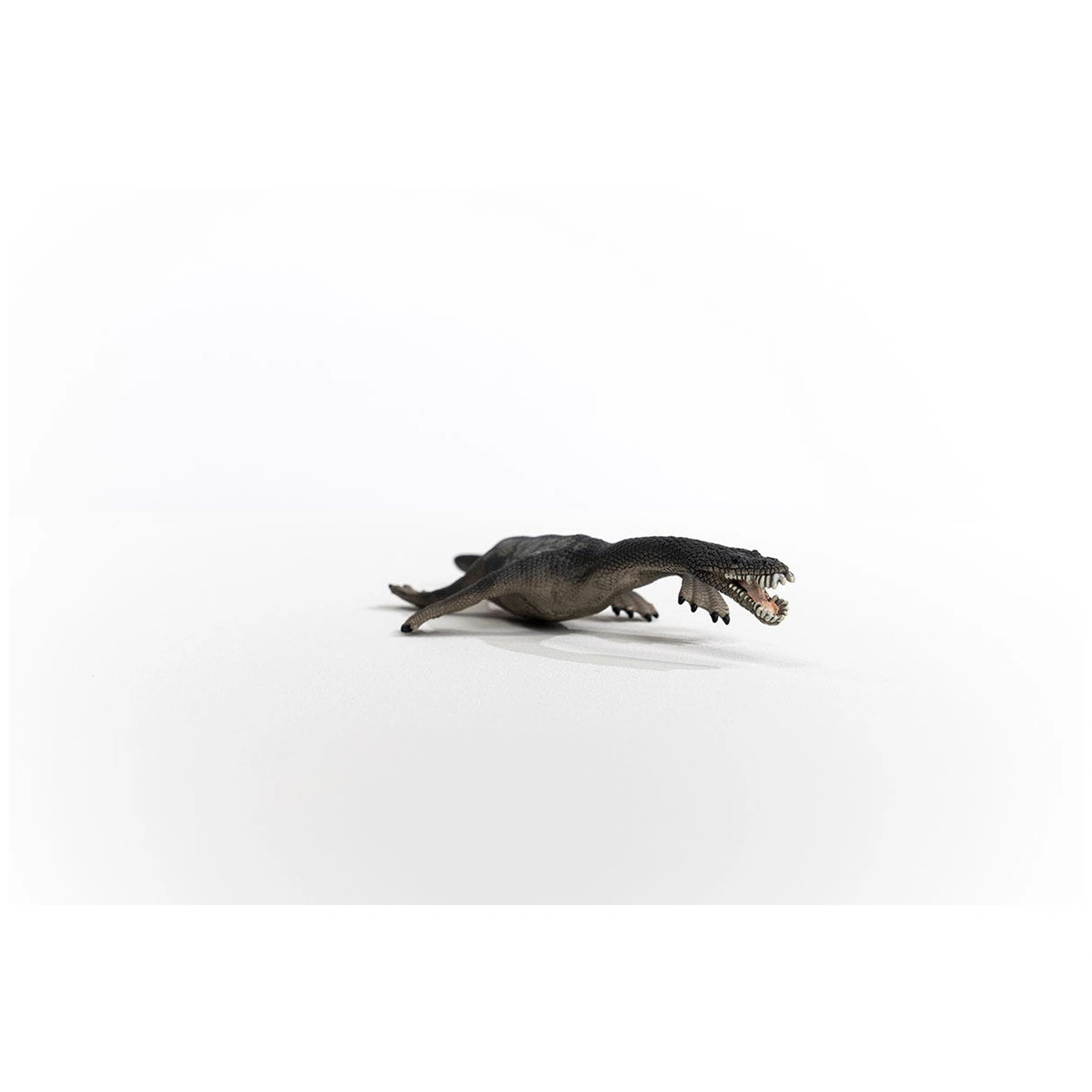 Schleich - Dinosaurs - Notosaur - Action & Toy Figures - 15031