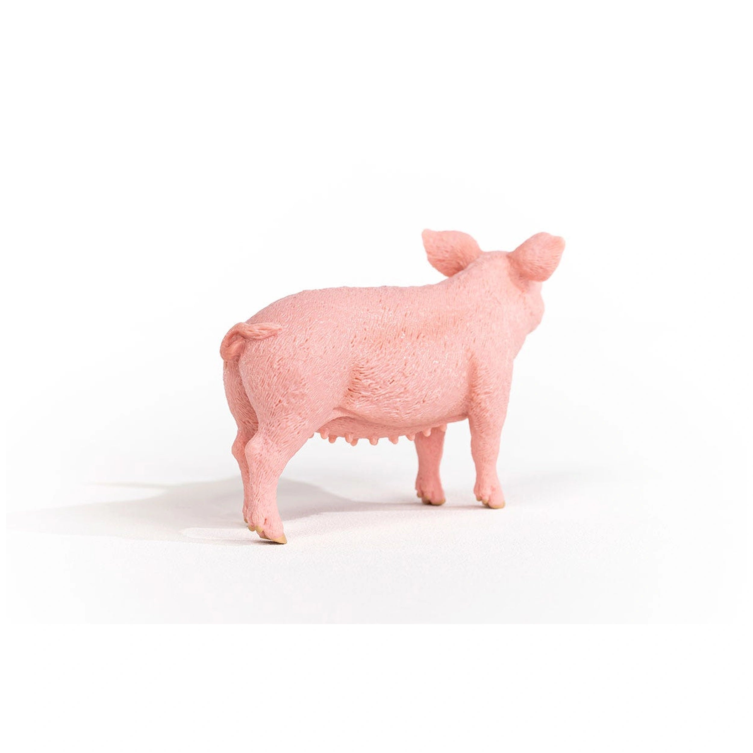 Schleich - Farm World - Pig - Action & Toy Figures - 13933