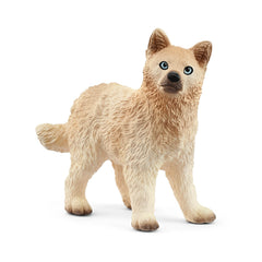 Schleich - Wild Life - Arctic Wolf Pup - Actie- en Speelfiguren - 14881