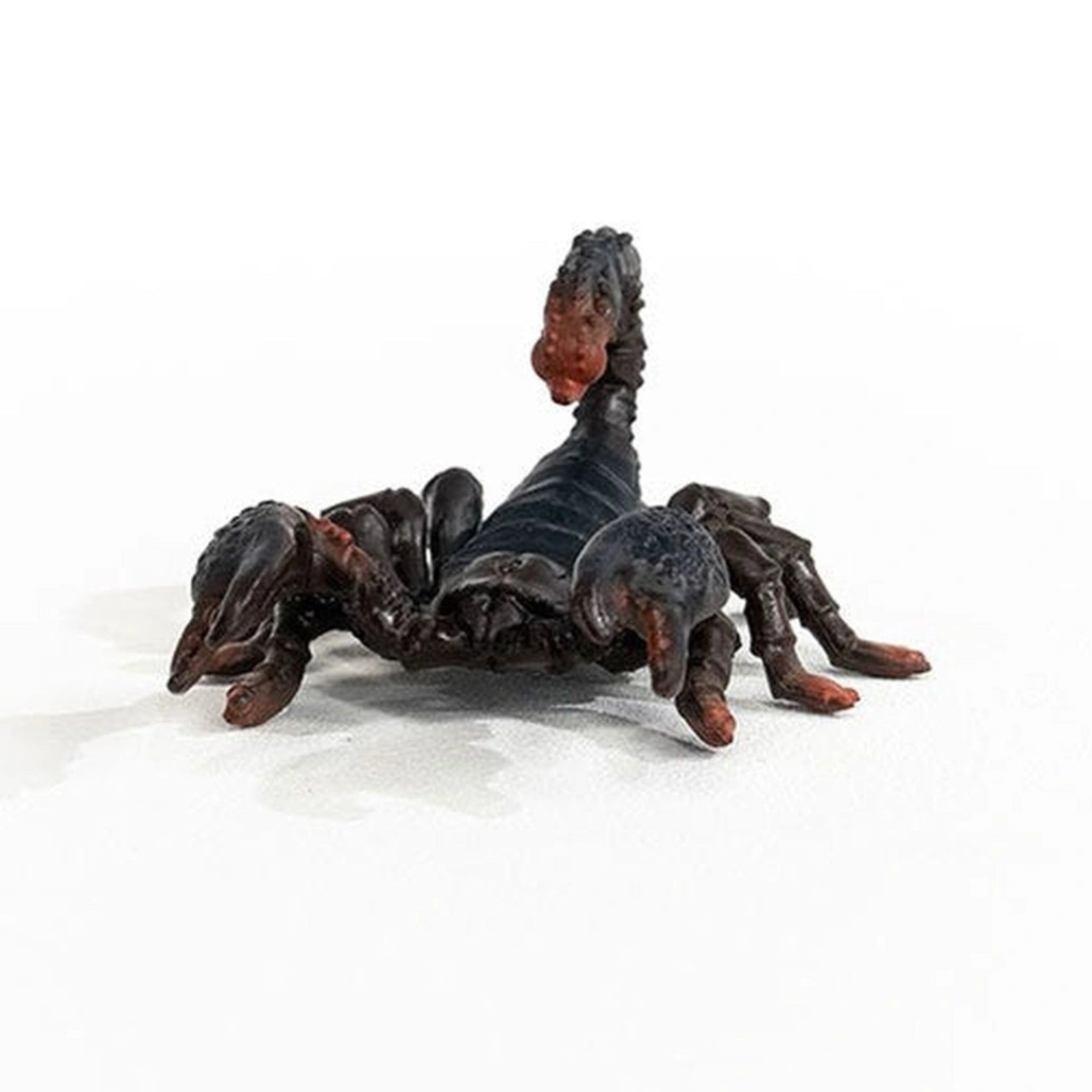 Schleich - Wild Life - Emperor Scorpio - Action & Toy Figures - 14857