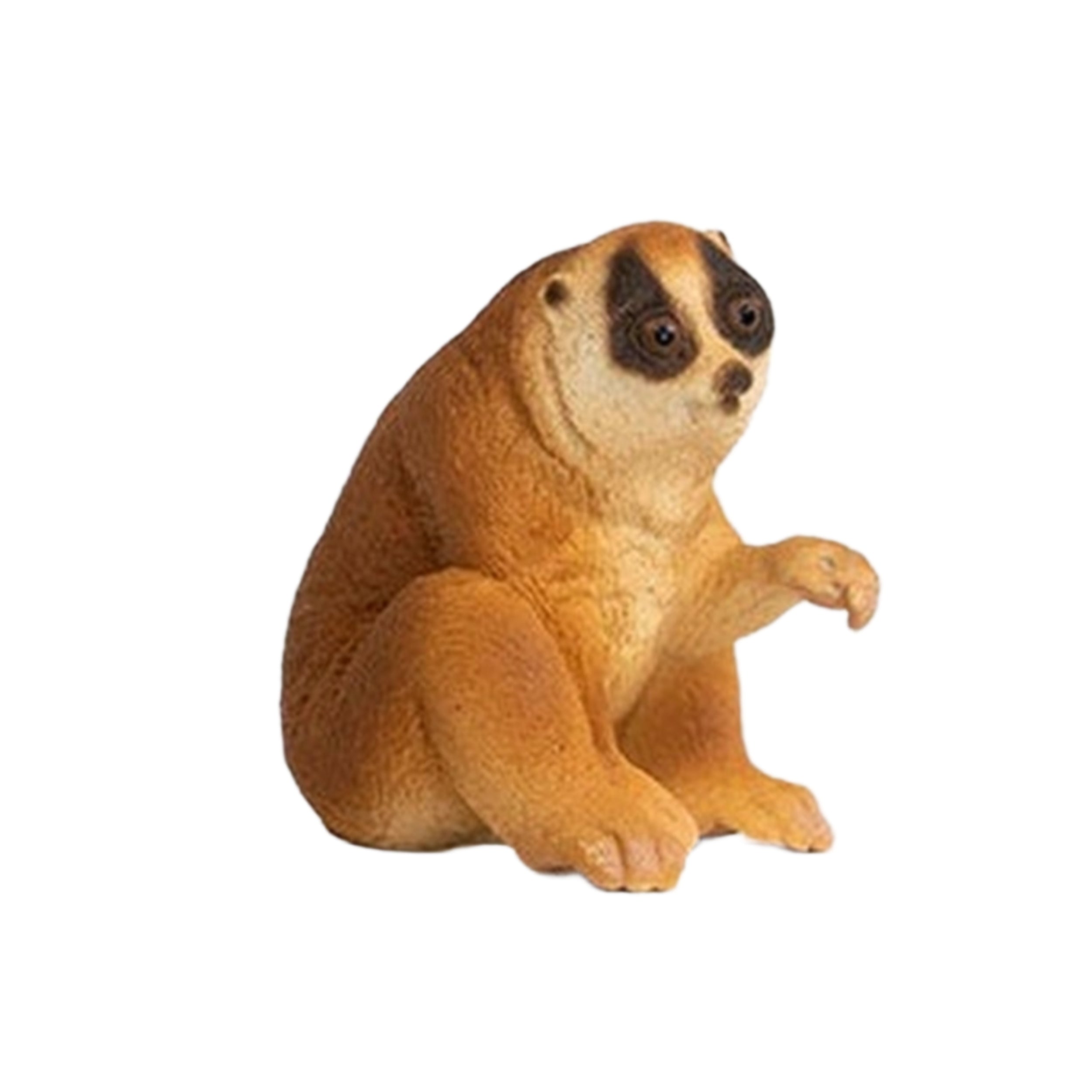 Schleich - Wild Life - Slow Loris - Action & Toy Figures - 14852