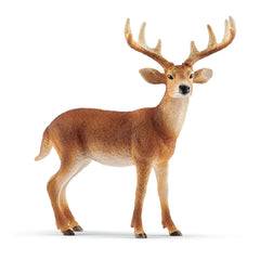 Schleich - Wild Life - Witstaartdeer - Actie- en Speelgoedfiguren - 14818