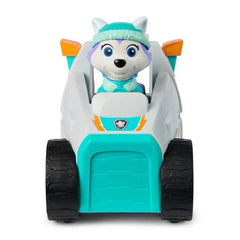 PAW Patrol – Everest en sneeuwschuiver-reddingsvoertuig