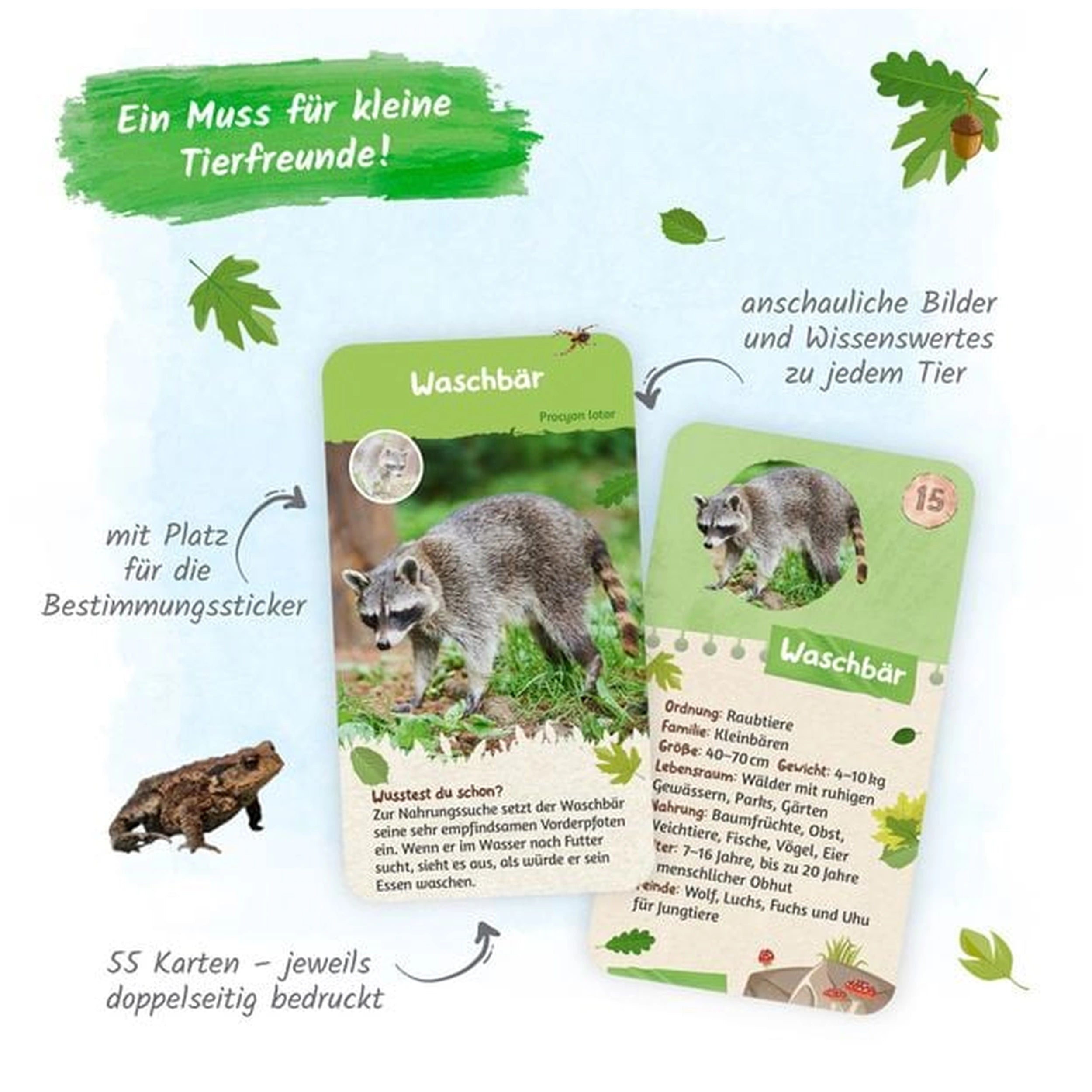 TROTSCH - Leerkaarten Inheemse Dieren Boeken - Duitse Editie