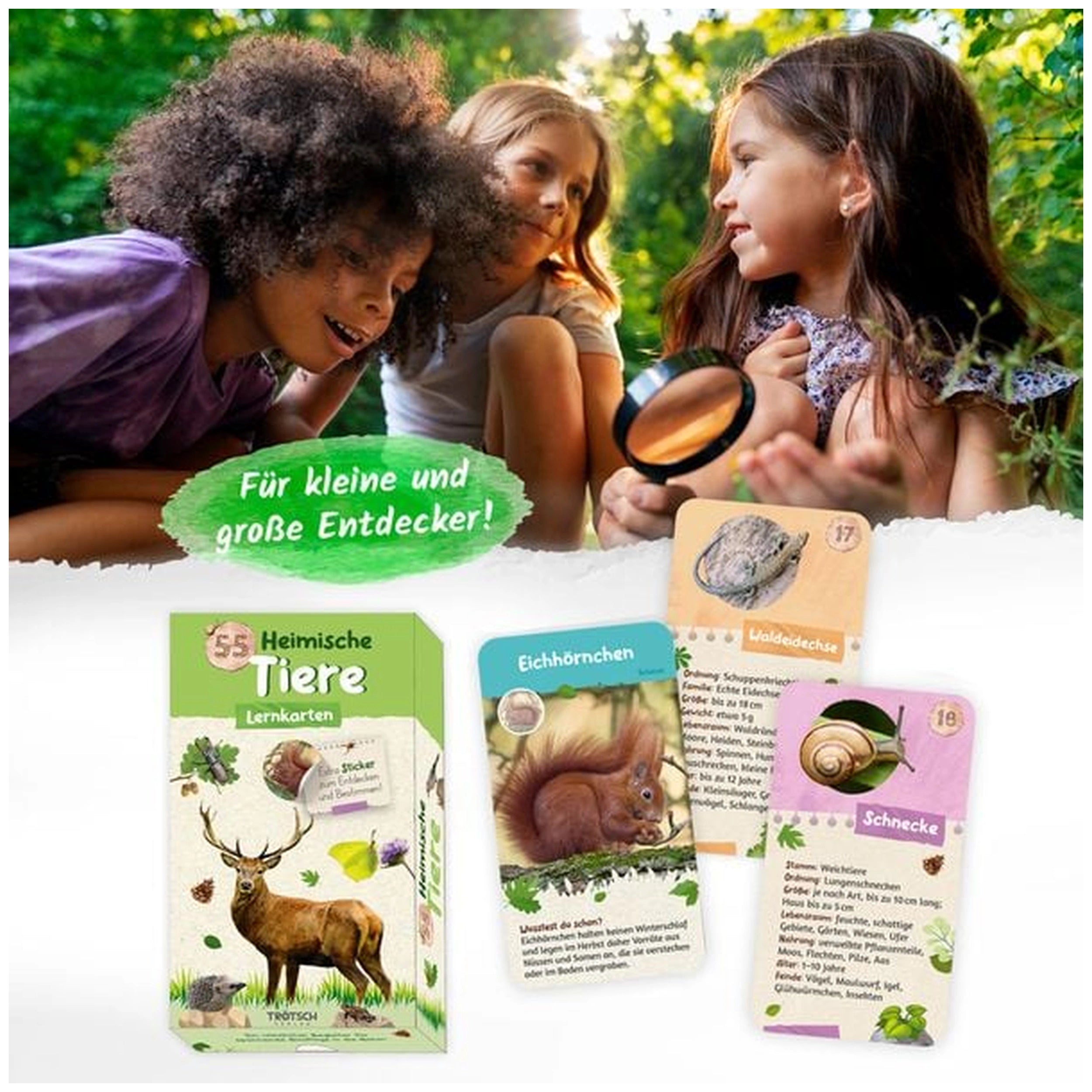 TROTSCH - Leerkaarten Inheemse Dieren Boeken - Duitse Editie