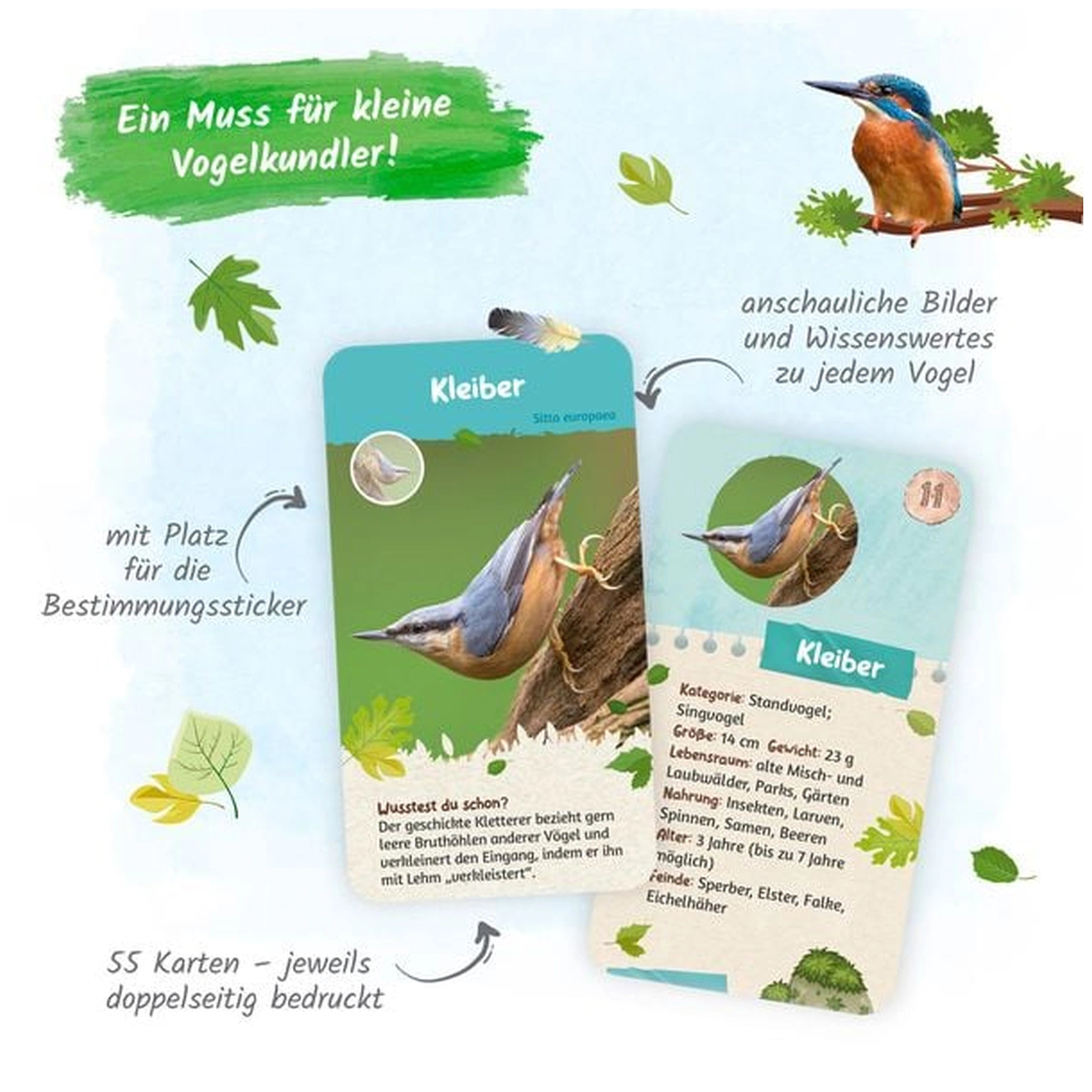 TROTSCH - Leerkaarten Inheemse Vogels Boeken - Duitse Editie