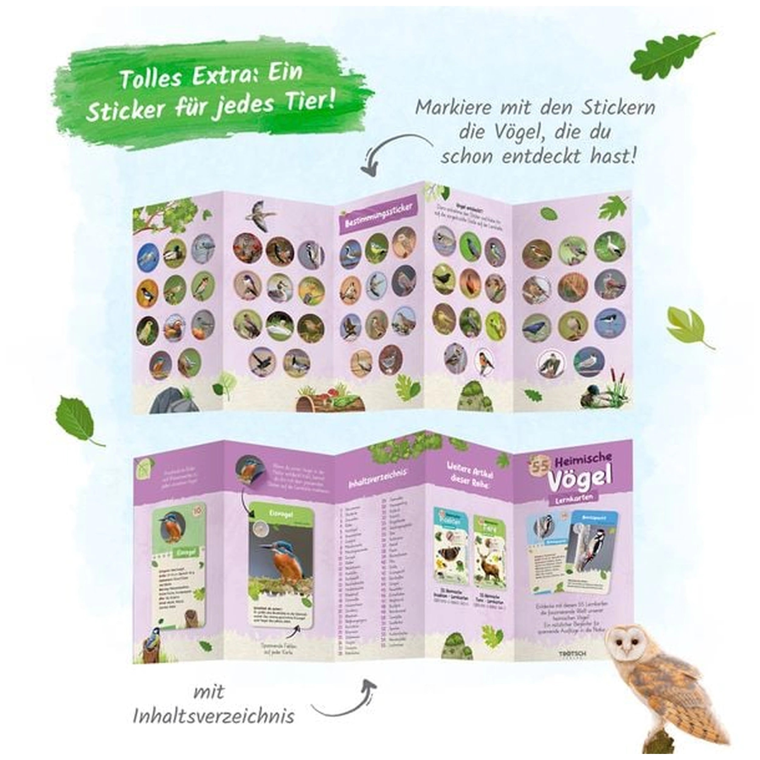 TROTSCH - Leerkaarten Inheemse Vogels Boeken - Duitse Editie