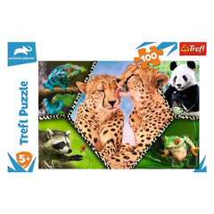 Trefl - Mooie Natuur - Puzzels - +5 - TRF16424