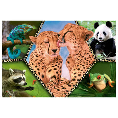 Trefl - Mooie Natuur - Puzzels - +5 - TRF16424